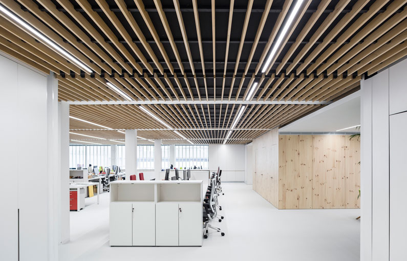 SPIGO GROUP Soluciones en madera - Proyecto: Oficinas Centrales FINSA 1