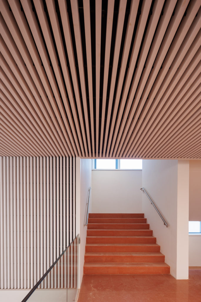 SPIGO GROUP Soluciones en madera - Proyecto: Instituto Sagasta Logroño 9