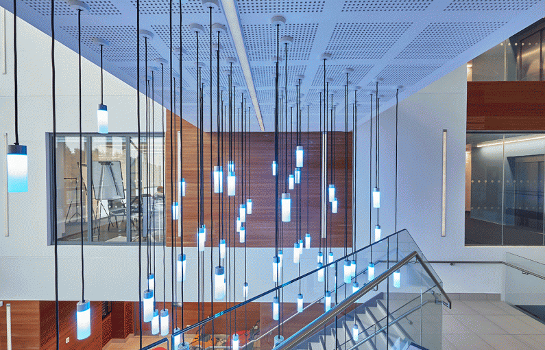 SPIGO GROUP Soluciones en madera - Proyecto: Bath University UK 11