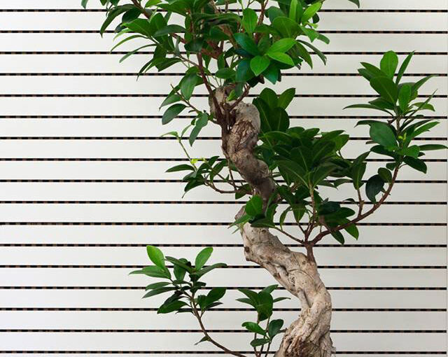 SPIGO GROUP Soluciones en madera - Proyecto: Loyens Loeff 1