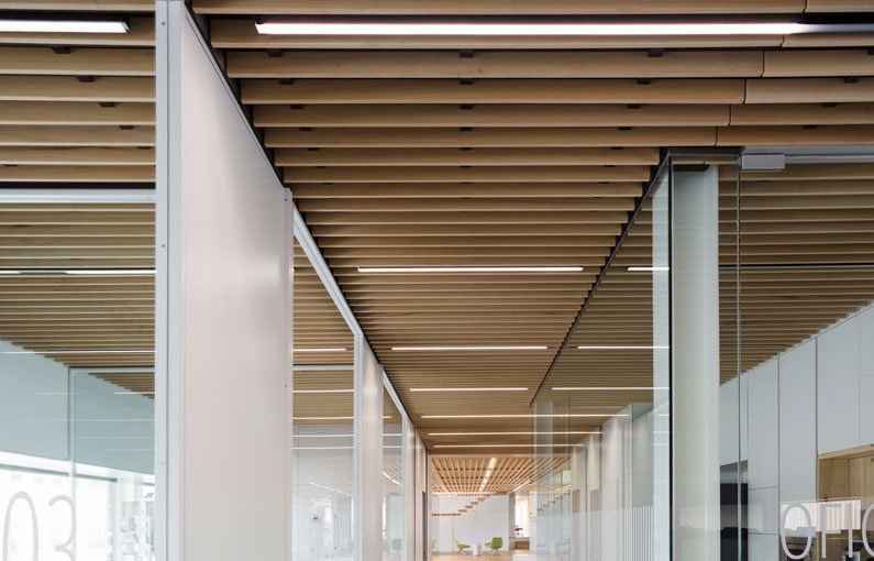 SPIGO GROUP Soluciones en madera - Proyecto: Oficinas Centrales FINSA 12