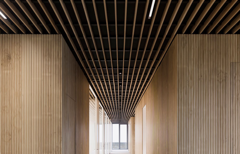 SPIGO GROUP Soluciones en madera - Proyecto: Oficinas Centrales FINSA 2