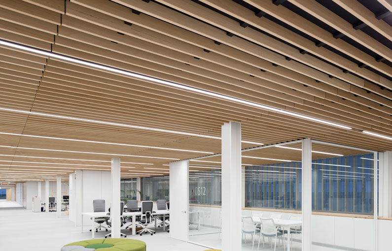 SPIGO GROUP Soluciones en madera - Proyecto: Oficinas Centrales FINSA 6