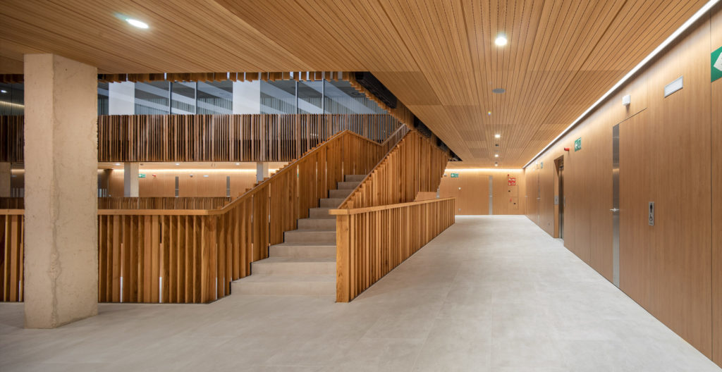 SPIGO GROUP Soluciones en madera - Proyecto: Centro de salud Soto de Lezkairu 5