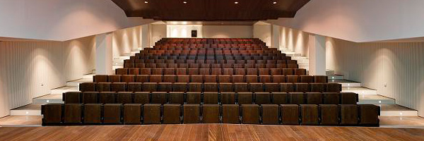 falso techo de madera para auditorios