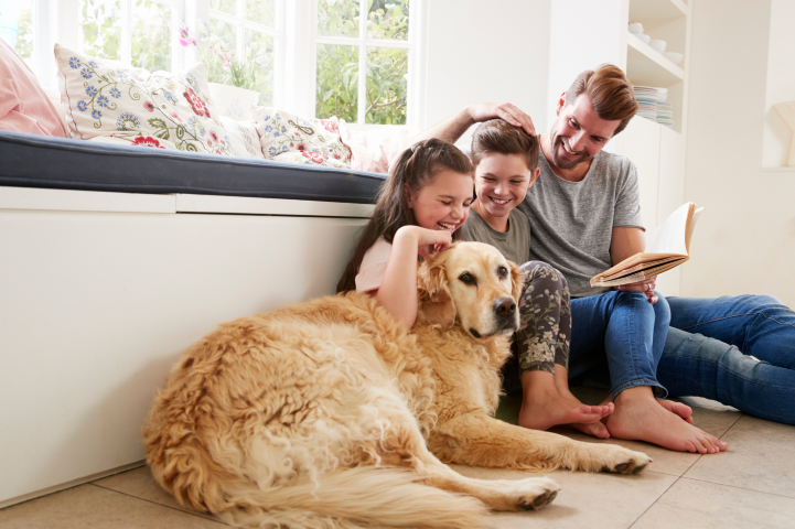 acondicionamiento acústico de viviendas 2