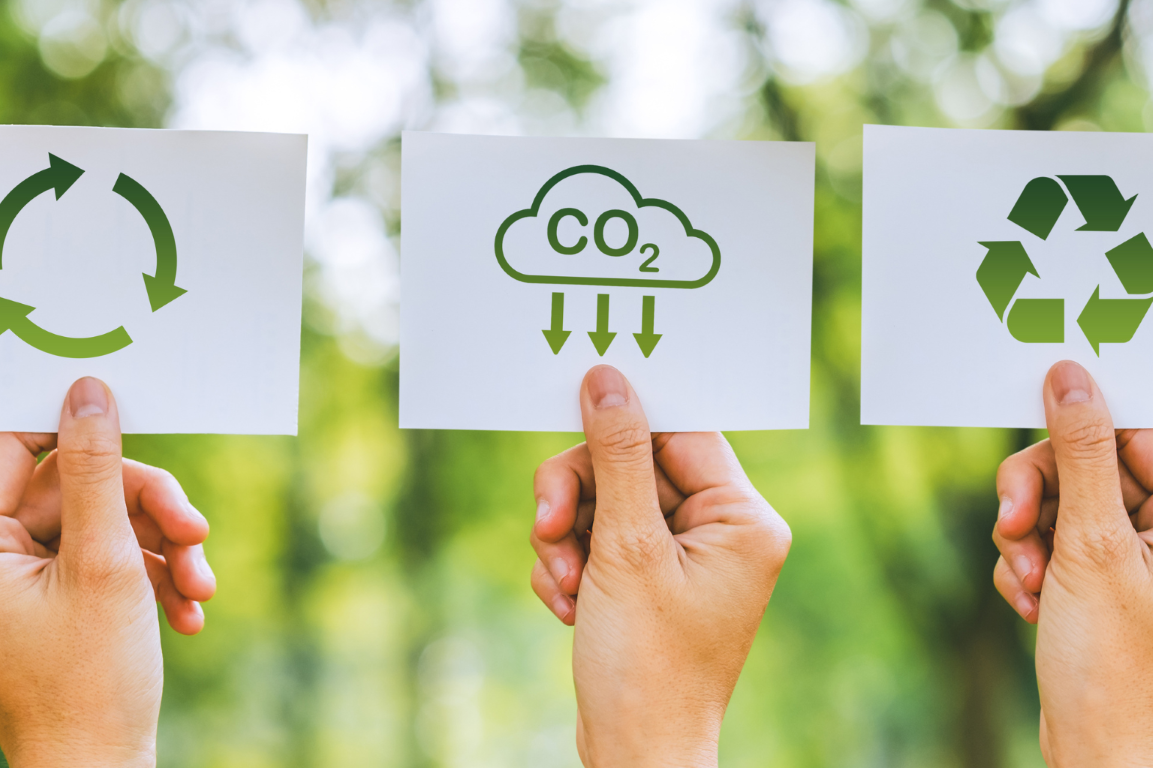 paneles acústicos de madera sostenibles dest