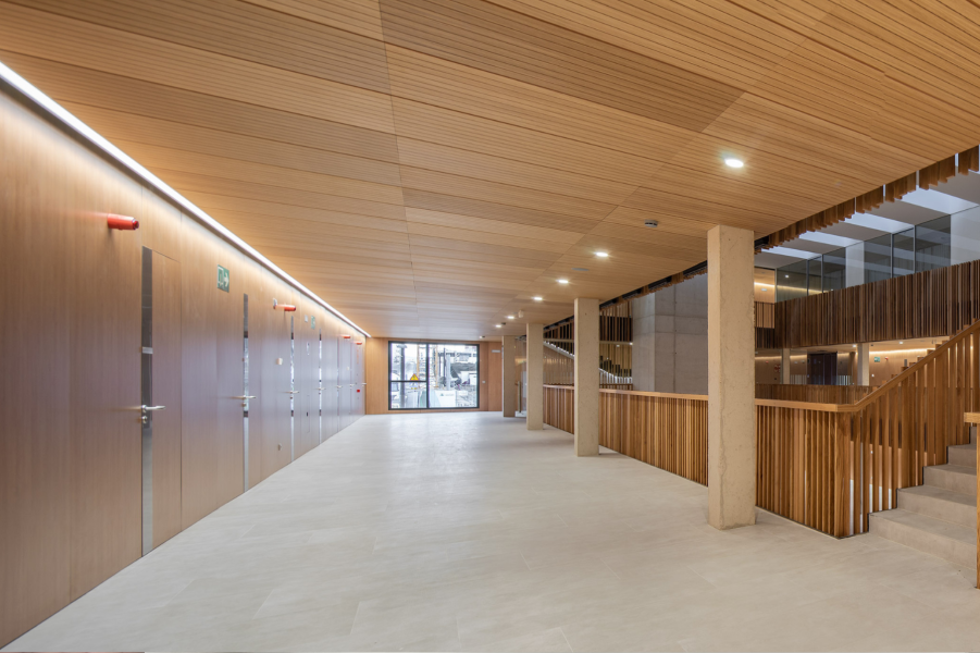 Placas acústicas para techos 3