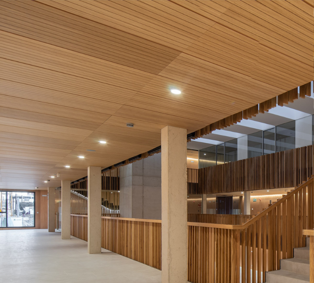 techos registrables de madera para ayuntamientos dest