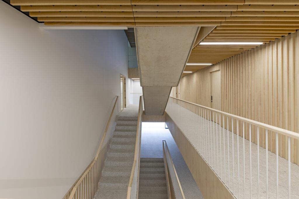 Revestimiento acústico de madera ayous ignifugado en Civivox Salesianos Pamplona