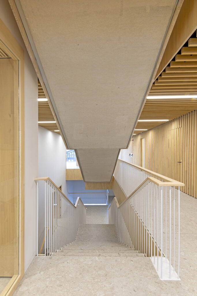 Paneles Spigoline Ayous Natural instalados en Civivox Salesianos Pamplona